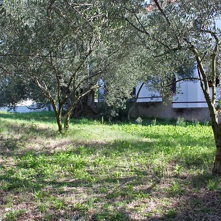 Appartement 5769a Bibinje