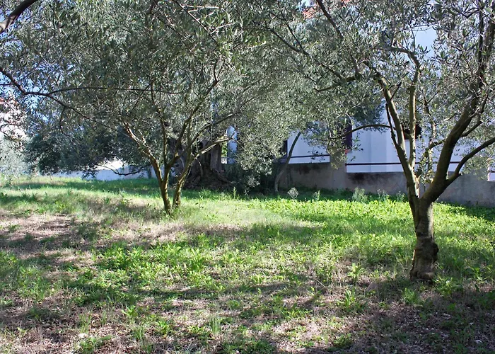 Appartement 5769a Bibinje